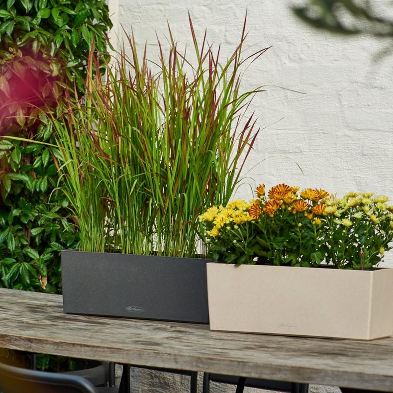 le_balconera-stone50_product_addi_05